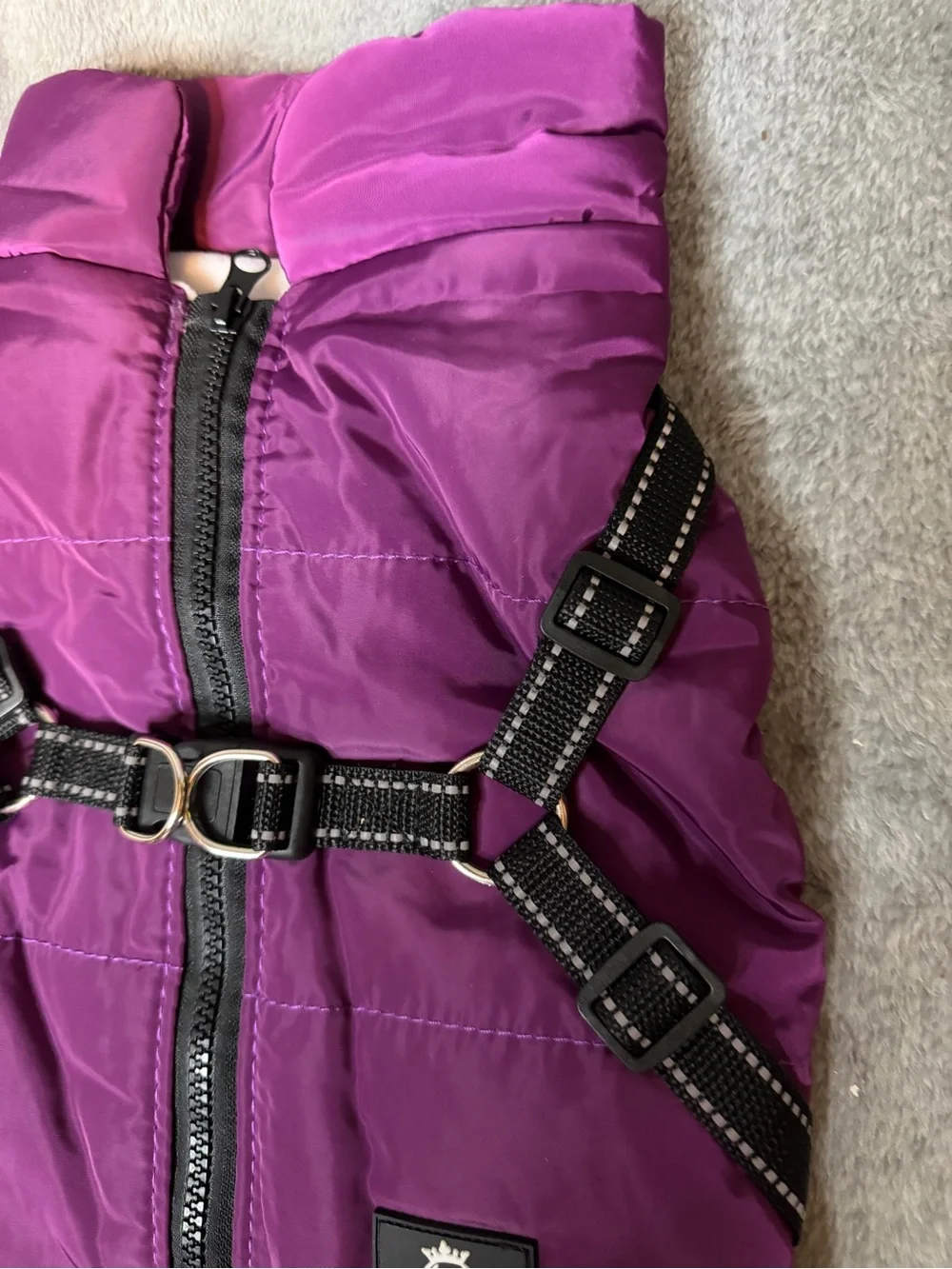 Doggy Kingdom Purple Vest / Dog Cost Multiple Sizes